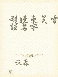 赵晓东吴雪晴小说名字