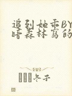 追到她乖BY黑暗森林写的小说