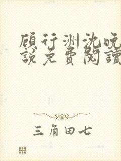 顾行洲沈晚宁小说免费阅读最新章节