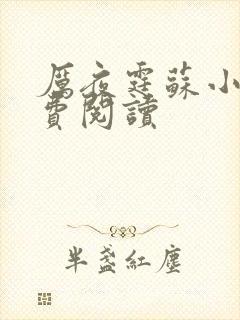 厉夜霆苏小汐免费阅读