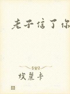 老子信了你的邪封面