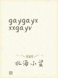 gaygayxxxgayv封面