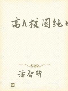 高h校园纯肉封面