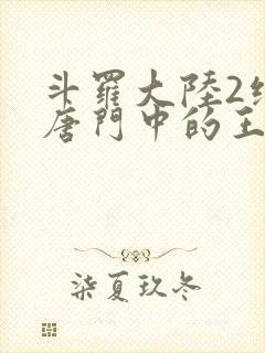 斗罗大陆2绝世唐门中的王冬