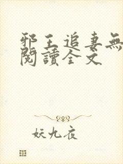 邪王追妻无删减阅读全文