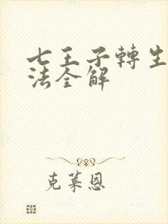 七王子转生之魔法全解