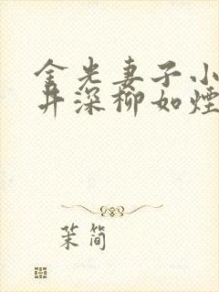 金光妻子小说顾井深柳如烟吴晶封面