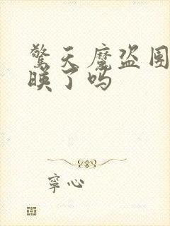 惊天魔盗团3上映了吗封面