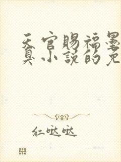 天官赐福墨香铜臭小说的免费阅读封面