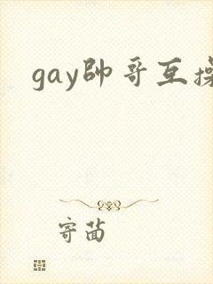 gay帅哥互操