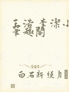 王浩 李洁小说笔趣阁