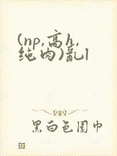 (np,高h,纯肉)乱l