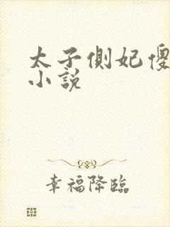 太子侧妃傻乎乎小说封面