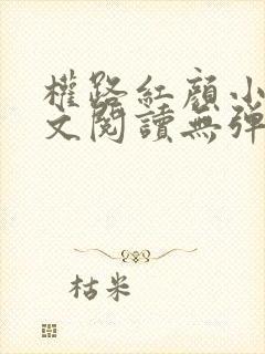 权路红颜小说全文阅读无弹窗封面