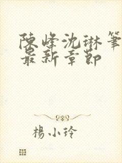 陈峰沈琳笔趣阁最新章节