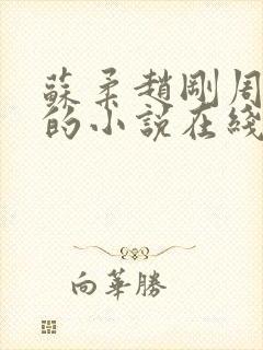 苏柔赵刚周明权的小说在线阅读全文最新封面