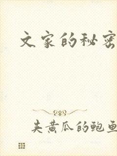 文家的秘密