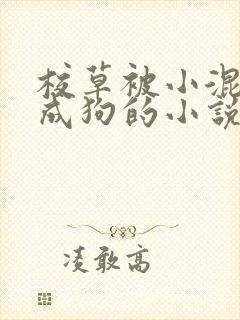 校草被小混调练成狗的小说免费阅读全文封面