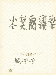 小说白洁与高义全文阅读笔趣阁下载