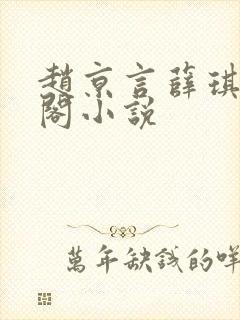 赵京言薛琪笔趣阁小说