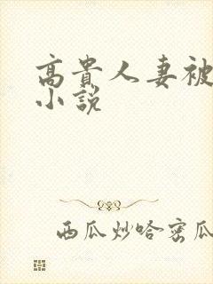 高贵人妻被调教小说