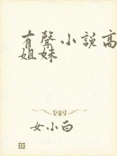 有声小说高树三姐妹封面