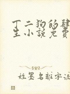 丁二狗的肆意人生小说免费阅读全文完整版