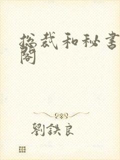 总裁和秘书笔趣阁封面