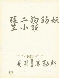 张二狗的妖孽人生小说