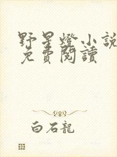 野星灯小说全文免费阅读