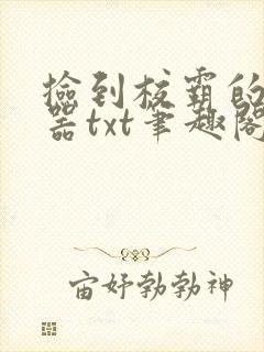 捡到校霸的遥控器txt笔趣阁