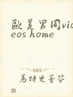 欧美男同videos home