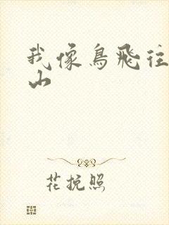 我像鸟飞往你的山