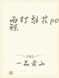 雨打梨花po问鲸