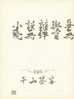 小说谁与争锋左飞无弹窗无广告