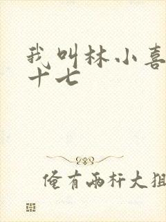 我叫林小喜今年十七