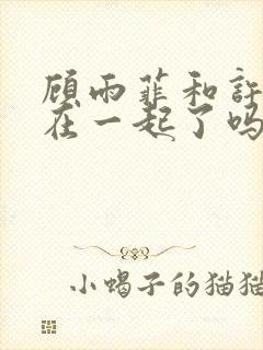 顾雨菲和许忠义在一起了吗