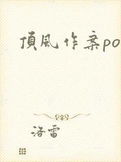 顶风作案po封面