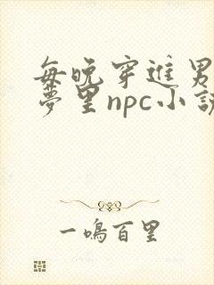 每晚穿进男神的梦里npc小说