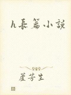 h长篇小说封面
