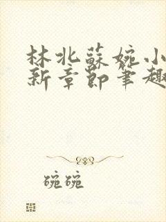 林北苏婉小说最新章节笔趣阁封面
