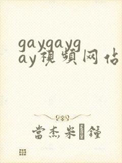 gaygaygay视频网站
