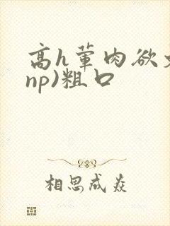 高h荤肉欲文(np)粗口
