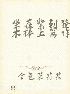 坐在紫到发黑的木棒上写作业