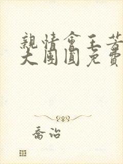 亲情会王芳高敏大团圆免费阅读