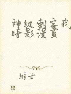 神级刺客我即是暗影漫画封面