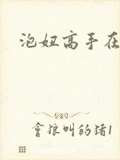 泡妞高手在都市