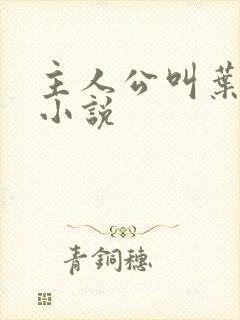 主人公叫叶尘的小说