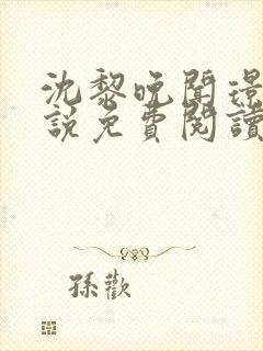 沈黎晚闻璟川小说免费阅读最新章节