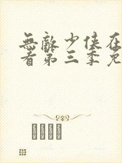 无敌少侠在线观看第三季免费